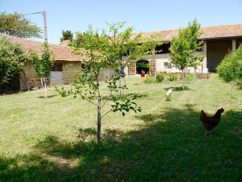 Ferme St Pierre Gite Autonome 2-4 Personnes Bed & Breakfast Chabeuil Bagian luar foto